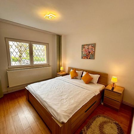 Jad - Familiy 4 Rooms Apartment - Near Forest - Racadau Braszów Zewnętrze zdjęcie