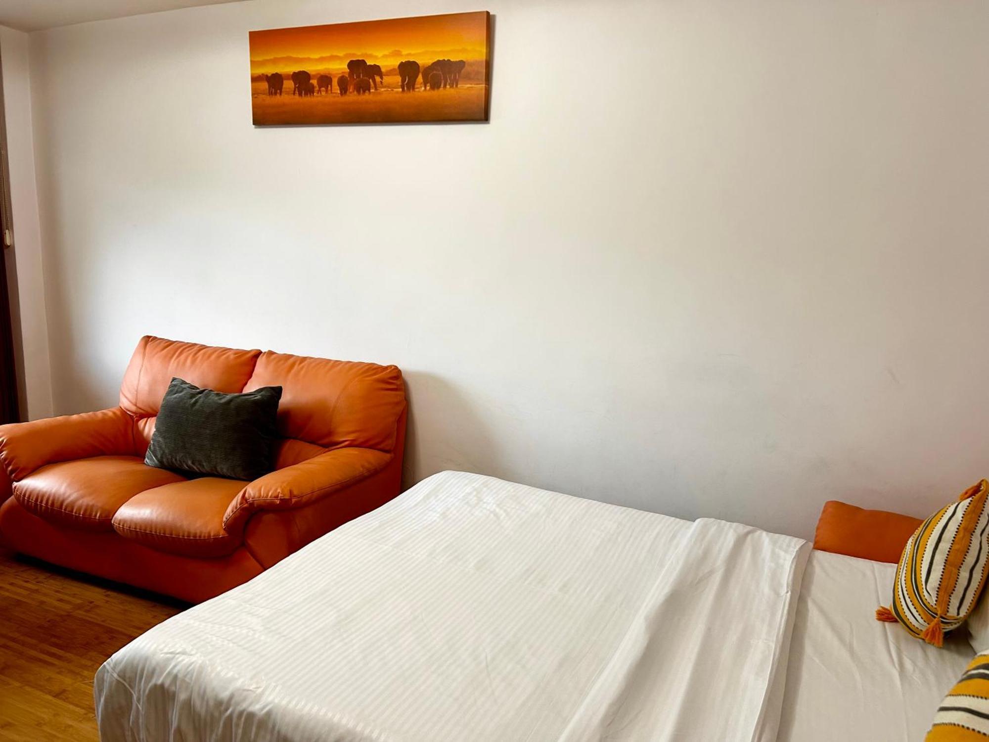 Jad - Familiy 4 Rooms Apartment - Near Forest - Racadau Braszów Zewnętrze zdjęcie